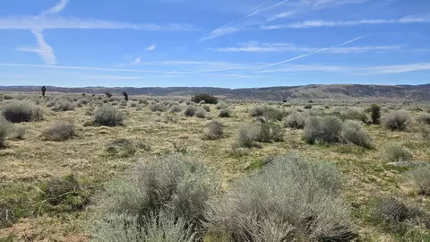 Ave E, Fairmont, CA 93536 photo 6