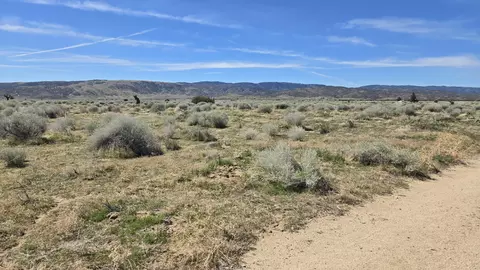 Ave E, Fairmont, CA 93536 photo 16