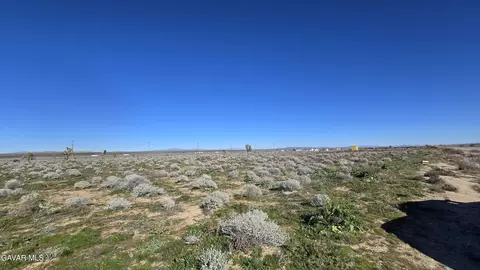 Twenty Mule Team Rd, Boron, CA 93516 photo 11