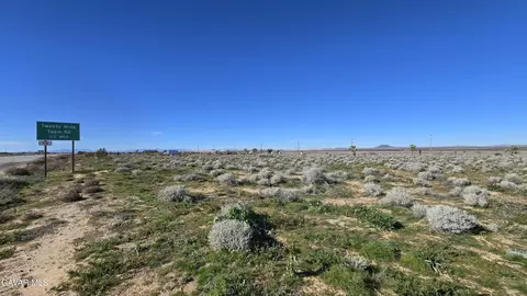 Twenty Mule Team Rd, Boron, CA 93516 photo 8