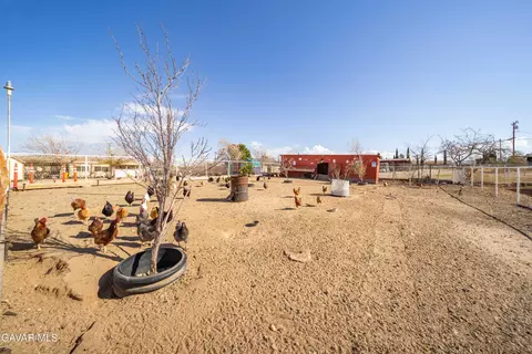 Exterior - 10872 Peach Ave, Hesperia, CA 92345 photo 6 of 8
