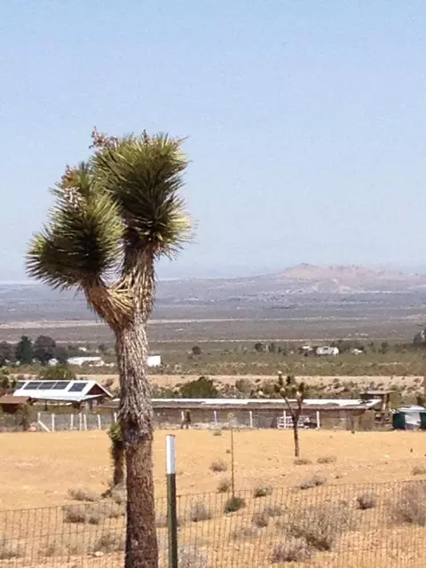 17130 Fort Tejon Rd, Llano, CA 93544 photo 5