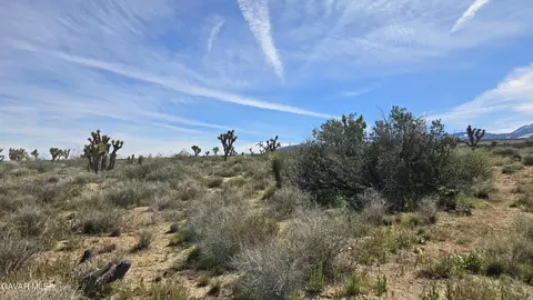 Fort Tejon Rd Vicinity 181st St E, Llano, CA 93544 photo 34