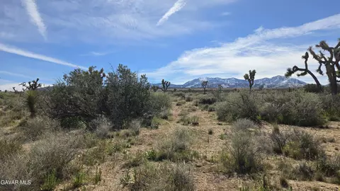 Fort Tejon Rd Vicinity 181st St E, Llano, CA 93544 photo 35