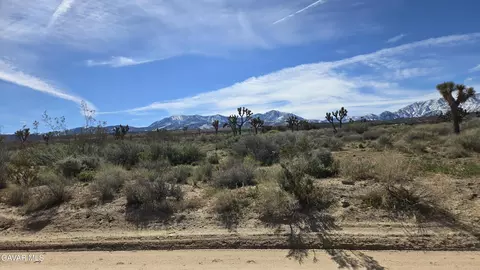 Fort Tejon Rd Vicinity 181st St E, Llano, CA 93544 photo 6
