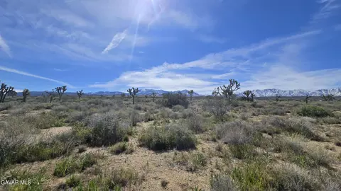 Fort Tejon Rd Vicinity 181st St E, Llano, CA 93544 photo 44