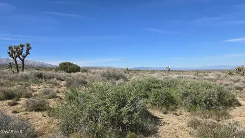 Fort Tejon Rd Vicinity 181st St E, Llano, CA 93544 photo 39