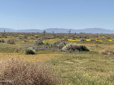 L12/220 220th East #3346-006-011, Palmdale, CA 93591