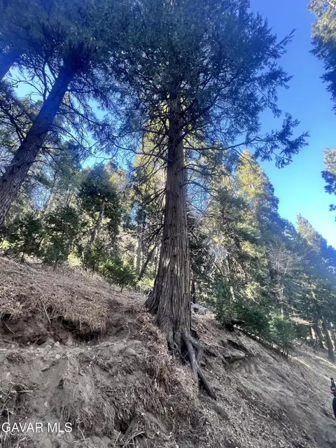 0 Reservoir Rd, Cedar Pines Park, CA 92322