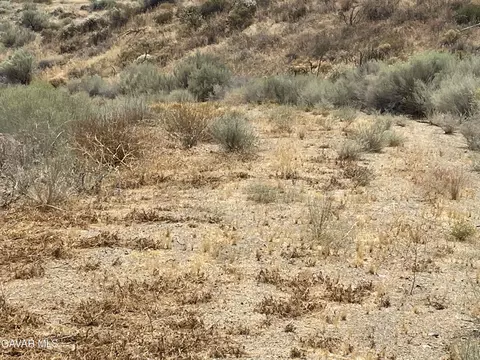 32952 Angeles Forest Highway Vic A Hwy, Palmdale, CA 93550 photo 19