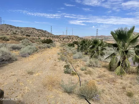 32952 Angeles Forest Highway Vic A Hwy, Palmdale, CA 93550 photo 18