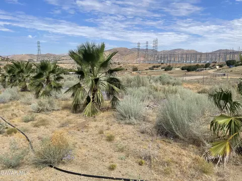32952 Angeles Forest Highway Vic A Hwy, Palmdale, CA 93550 photo 22