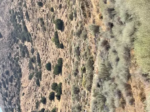 32952 Angeles Forest Highway Vic A Hwy, Palmdale, CA 93550 photo 20