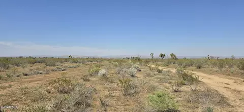 175 Th St E Ave W14, Llano, CA 93544 photo 3