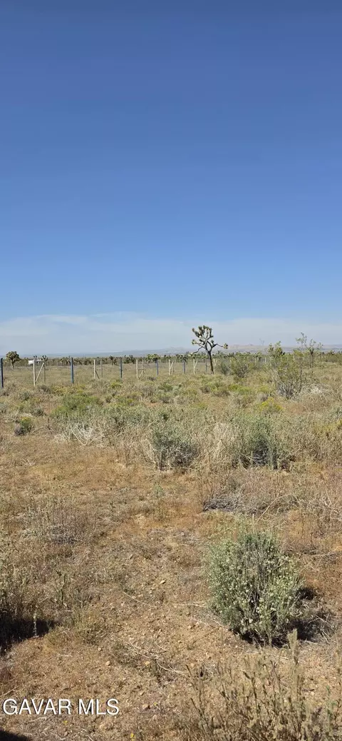 175 Th St E Ave W14, Llano, CA 93544 photo 14