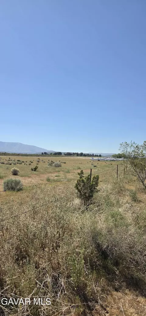 175 Th St E Ave W14, Llano, CA 93544 photo 5