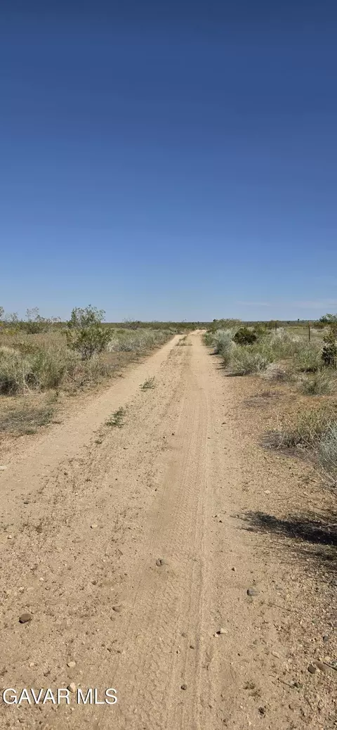 175 Th St E Ave W14, Llano, CA 93544 photo 12