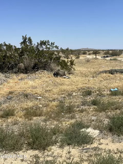 180 Th St E 180th East Lake Los Angeles, Palmdale, CA 93591 photo 4