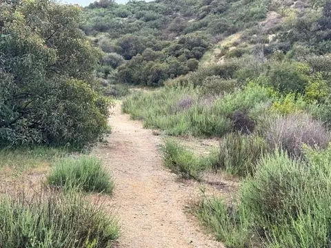 N High Top Drive, Tujunga, CA 91042 photo 12
