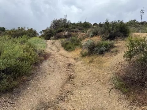 N High Top Drive, Tujunga, CA 91042 photo 15