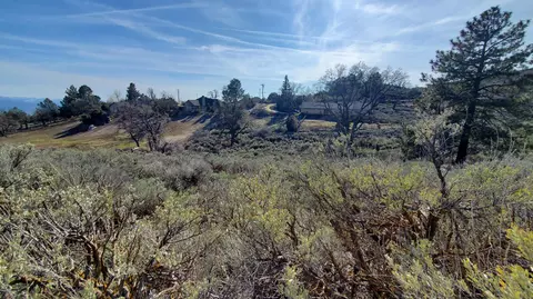 25041 Jacaranda Dr, Tehachapi, CA 93561 photo 6