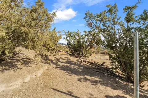 Exterior - 6535 Juniper Crest Rd, Agua Dulce, CA 91390 photo 11 of 18