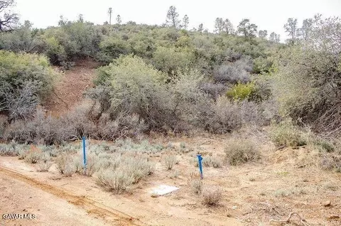 Quail Mountain Drive, Tehachapi, CA 93561 photo 91