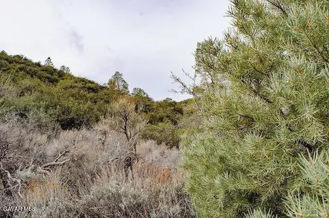 Quail Mountain Drive, Tehachapi, CA 93561 photo 63