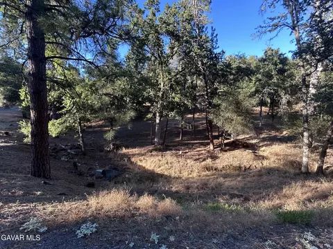 20465 Pine Mountain Dr, Goverland, CA 95321