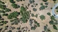 24590 Deertrail Dr, Tehachapi, CA 93561 photo 1