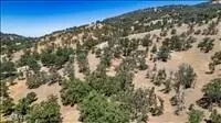 24590 Deertrail Dr, Tehachapi, CA 93561 photo 10