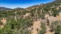 24590 Deertrail Dr, Tehachapi, CA 93561 photo 11