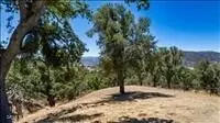 24590 Deertrail Dr, Tehachapi, CA 93561 photo 2