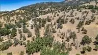 24590 Deertrail Dr, Tehachapi, CA 93561 photo 9