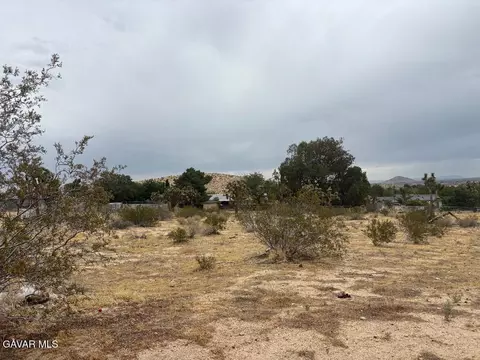 E 166th Street, Palmdale, CA 93591 photo 5