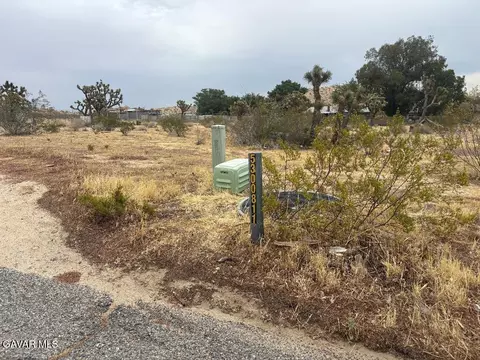 E 166th Street, Palmdale, CA 93591 photo 4