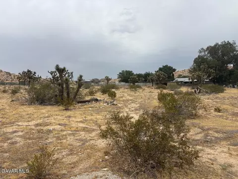 E 166th Street, Palmdale, CA 93591 photo 3
