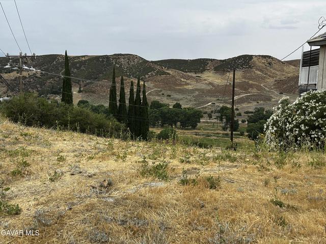 Flintstone Dr, Lake Elizabeth, CA 93532