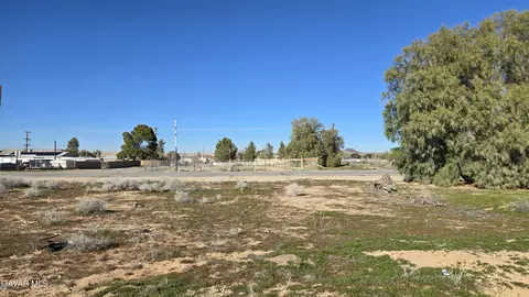 Twenty Mule Team Rd, Boron, CA 93516 photo 17
