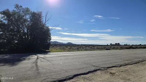 Twenty Mule Team Rd, Boron, CA 93516 photo 2