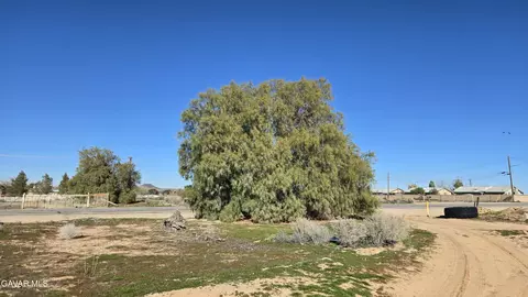 Twenty Mule Team Rd, Boron, CA 93516 photo 8