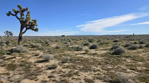 Twenty Mule Team Rd, Boron, CA 93516 photo 14