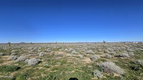Twenty Mule Team Rd, Boron, CA 93516 photo 10
