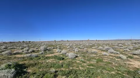 Twenty Mule Team Rd, Boron, CA 93516 photo 9