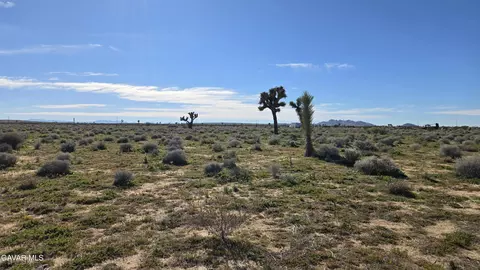 Twenty Mule Team Rd, Boron, CA 93516 photo 16