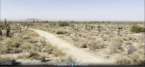 220 E Avenue X, Llano, CA 93544 photo 65