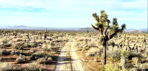 220 E Avenue X, Llano, CA 93544 photo 58