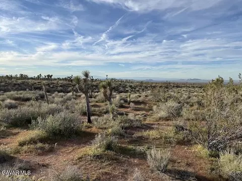 220 E Avenue X, Llano, CA 93544 photo 41