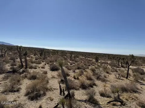 220 E Avenue X, Llano, CA 93544 photo 68