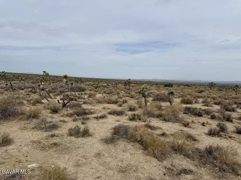 220 E Avenue X, Llano, CA 93544 photo 8